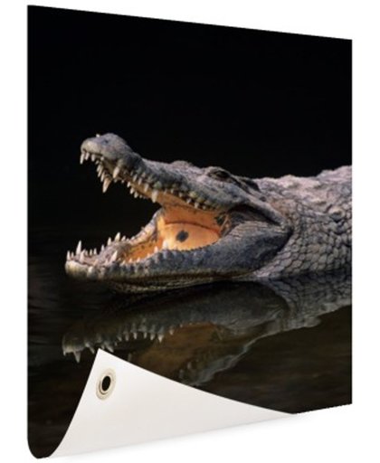 FotoCadeau.nl - Nijl krokodil Tuinposter 80x120 cm - Foto op Tuinposter (tuin decoratie)