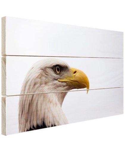 FotoCadeau.nl - Portretfoto adelaar Hout 80x60 cm - Foto print op Hout (Wanddecoratie)