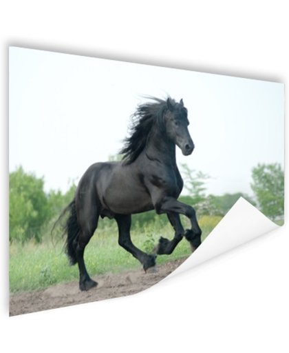 FotoCadeau.nl - Prachtig zwart paard Poster 150x75 cm - Foto print op Poster (wanddecoratie)