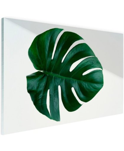 Gatenplant blad botanisch Glas 180x120 cm - Foto print op Glas (Plexiglas wanddecoratie)
