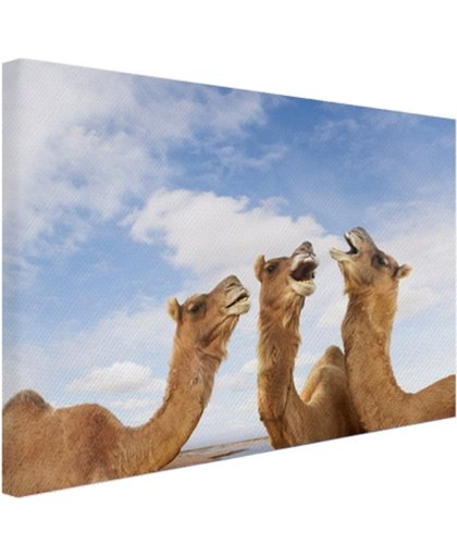 FotoCadeau.nl - Kamelen in India Canvas 30x20 cm - Foto print op Canvas schilderij (Wanddecoratie)