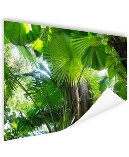 FotoCadeau.nl - Tropisch regenwoud Poster 60x40 cm - Foto print op Poster (wanddecoratie)