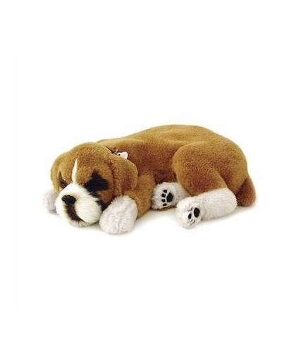 Pluche slapende boxer honden knuffel