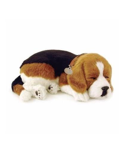 Pluche slapende beagle honden knuffel