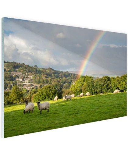 Schapen onder levendige regenboog Glas 180x120 cm - Foto print op Glas (Plexiglas wanddecoratie)
