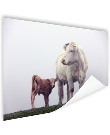 FotoCadeau.nl - Koe met kalf in de mist Poster 60x40 cm - Foto print op Poster (wanddecoratie)