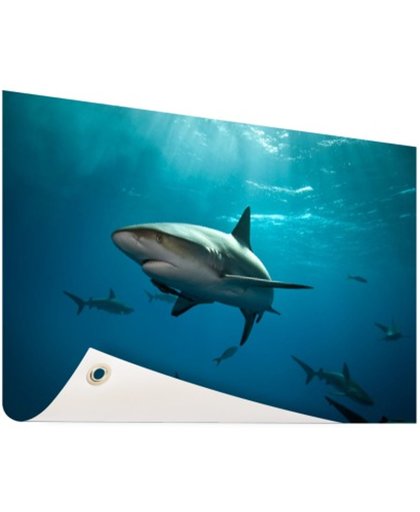 FotoCadeau.nl - Groep haaien Tuinposter 120x80 cm - Foto op Tuinposter (tuin decoratie)