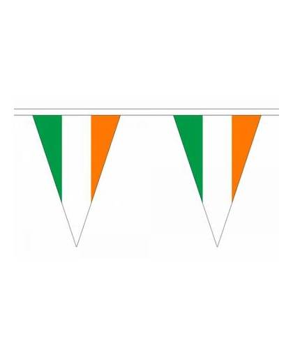 Luxe ierland driehoek vlaggenlijn 20 meter