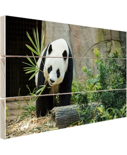 FotoCadeau.nl - Grote panda Hout 120x80 cm - Foto print op Hout (Wanddecoratie)