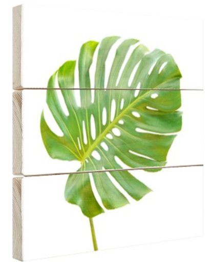 Blad van een gatenplant botanisch Hout 30x20 cm - Foto print op Hout (Wanddecoratie)