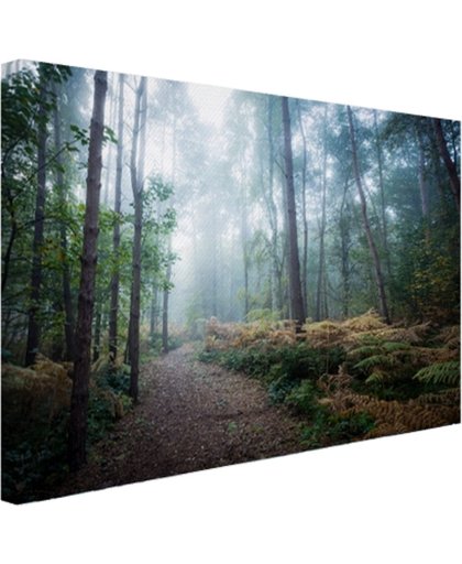 Een mistig pad door het bos Canvas 180x120 cm - Foto print op Canvas schilderij (Wanddecoratie)