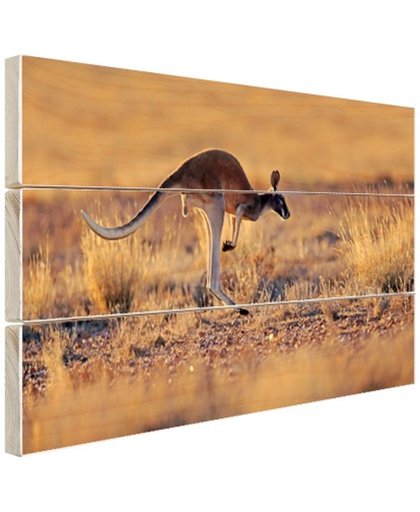 FotoCadeau.nl - Springende kangoeroe warme gloed Hout 80x60 cm - Foto print op Hout (Wanddecoratie)