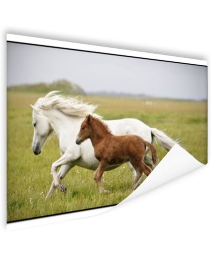 FotoCadeau.nl - Paard en veulen rennen Poster 90x60 cm - Foto print op Poster (wanddecoratie)