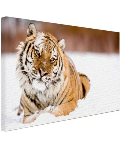FotoCadeau.nl - Amur tijger in de sneeuw Canvas 60x40 cm - Foto print op Canvas schilderij (Wanddecoratie)