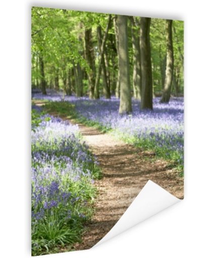 FotoCadeau.nl - Klokjes die in het bos groeien Poster 75x150 cm - Foto print op Poster (wanddecoratie)