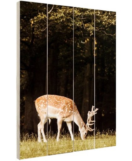 FotoCadeau.nl - Grazend hert Hout 40x60 cm - Foto print op Hout (Wanddecoratie)