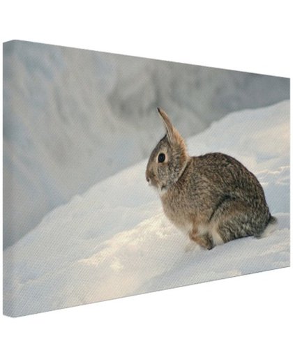 Wild konijn in de sneeuw Canvas 180x120 cm - Foto print op Canvas schilderij (Wanddecoratie)