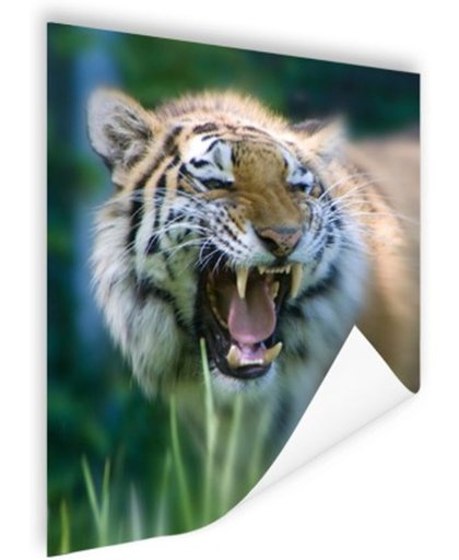 FotoCadeau.nl - Woeste tijger Poster 75x150 cm - Foto print op Poster (wanddecoratie)