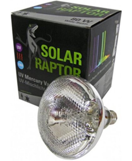 UV Mercury Vapor Lamp - 100W