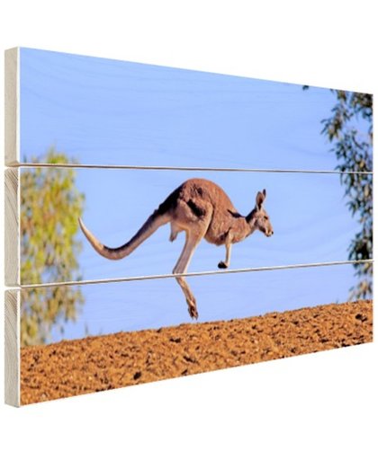 FotoCadeau.nl - Rode kangoeroe Hout 30x20 cm - Foto print op Hout (Wanddecoratie)