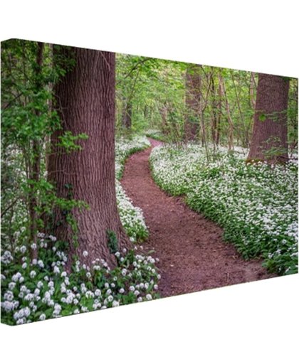 FotoCadeau.nl - Pad in een bos met wilde knoflook Canvas 30x20 cm - Foto print op Canvas schilderij (Wanddecoratie)