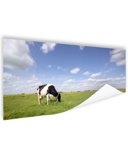 FotoCadeau.nl - Koeien in een weiland Poster 150x75 cm - Foto print op Poster (wanddecoratie)