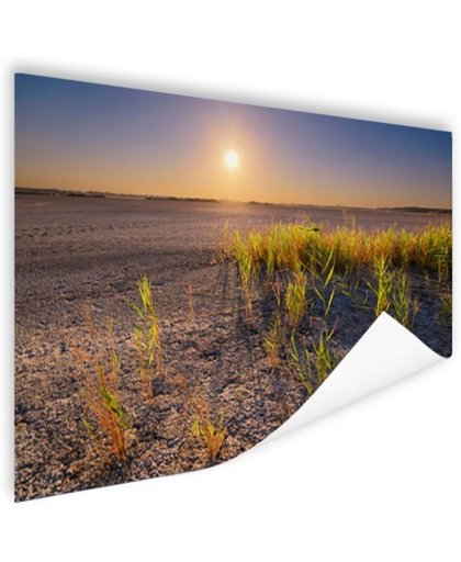 FotoCadeau.nl - Droge woestijn met plantjes  Poster 180x120 cm - Foto print op Poster (wanddecoratie)