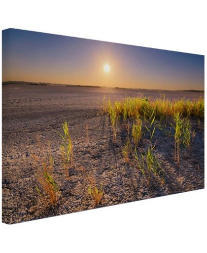 FotoCadeau.nl - Droge woestijn met plantjes  Canvas 120x80 cm - Foto print op Canvas schilderij (Wanddecoratie)