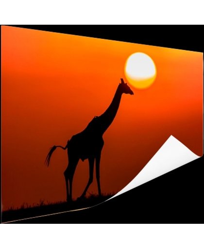FotoCadeau.nl - Giraffe bij zonsondergang Poster 180x120 cm - Foto print op Poster (wanddecoratie)