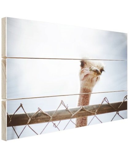 FotoCadeau.nl - Struisvogel kijkt over hek Hout 60x40 cm - Foto print op Hout (Wanddecoratie)