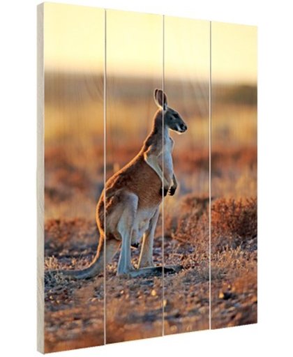 FotoCadeau.nl - Staande rode kangoeroe Hout 80x120 cm - Foto print op Hout (Wanddecoratie)