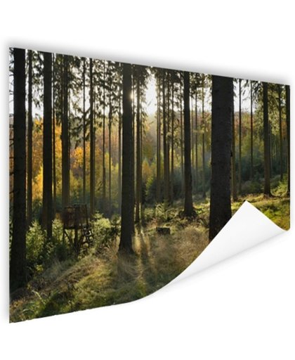 FotoCadeau.nl - Een bosrijke omgeving op zonnige dag Poster 120x80 cm - Foto print op Poster (wanddecoratie)