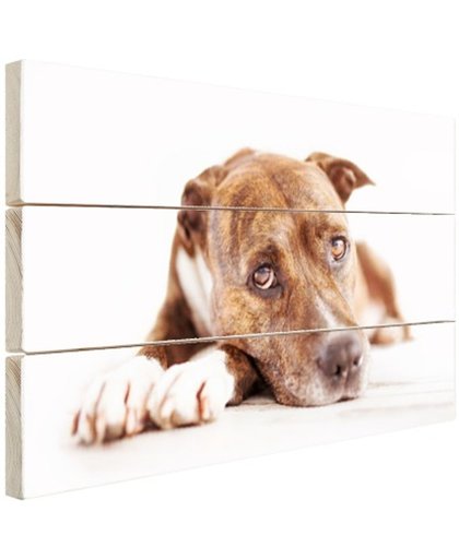 FotoCadeau.nl - Liggende hond  Hout 60x40 cm - Foto print op Hout (Wanddecoratie)