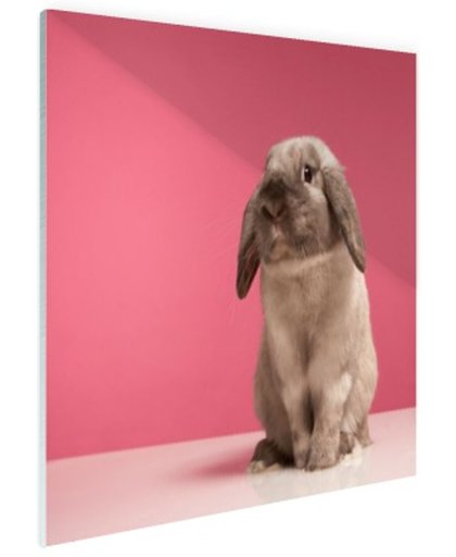 FotoCadeau.nl - Konijnen voor roze muur Glas 60x40 cm - Foto print op Glas (Plexiglas wanddecoratie)