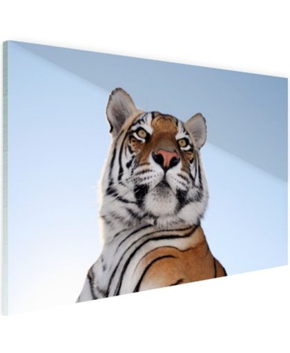 FotoCadeau.nl - Stoere tijger blauwe lucht Glas 30x20 cm - Foto print op Glas (Plexiglas wanddecoratie)