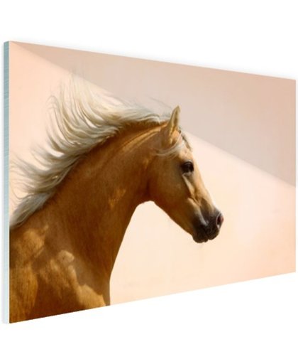 FotoCadeau.nl - Welsh pony foto afdruk Glas 60x40 cm - Foto print op Glas (Plexiglas wanddecoratie)