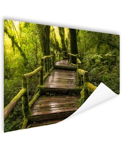 FotoCadeau.nl - Mooi regenwoud en jungle Poster 150x75 cm - Foto print op Poster (wanddecoratie)