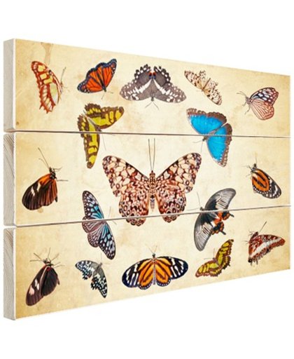 FotoCadeau.nl - Botanische print vlinders Hout 60x40 cm - Foto print op Hout (Wanddecoratie)