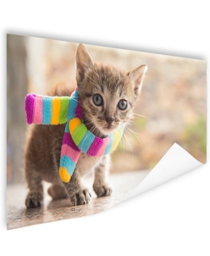 FotoCadeau.nl - Katje met kleurrijke sjaal Poster 150x75 cm - Foto print op Poster (wanddecoratie)