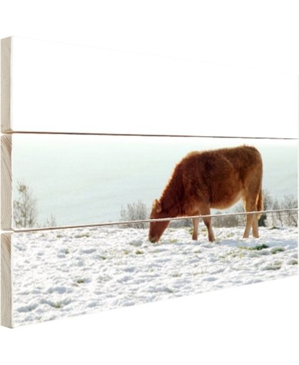 FotoCadeau.nl - Bruine koe op zoek naar eten Hout 120x80 cm - Foto print op Hout (Wanddecoratie)