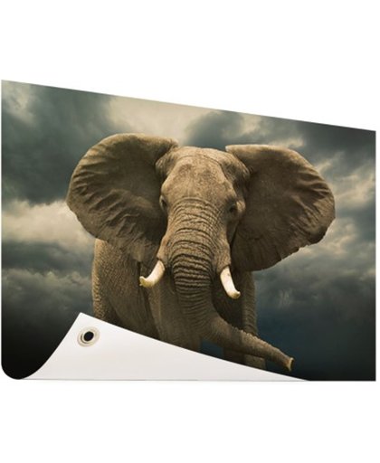 FotoCadeau.nl - Afrikaanse olifant donkere wolken Tuinposter 60x40 cm - Foto op Tuinposter (tuin decoratie)