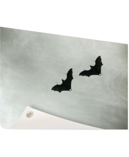 FotoCadeau.nl - Twee vleermuizen in vlucht Tuinposter 200x100 cm - Foto op Tuinposter (tuin decoratie)