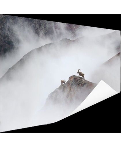 FotoCadeau.nl - Himalaya geiten Poster 120x80 cm - Foto print op Poster (wanddecoratie)