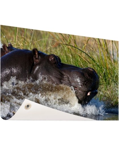 FotoCadeau.nl - Nijlpaard richting het droge Tuinposter 200x100 cm - Foto op Tuinposter (tuin decoratie)