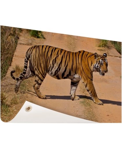 FotoCadeau.nl - Bengaalse tijger steekt over Tuinposter 60x40 cm - Foto op Tuinposter (tuin decoratie)
