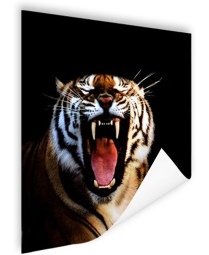 FotoCadeau.nl - Brullende tijger zwarte achtergrond Poster 75x75 cm - Foto print op Poster (wanddecoratie)
