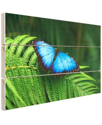 FotoCadeau.nl - Morpho vlinder Hout 60x40 cm - Foto print op Hout (Wanddecoratie)