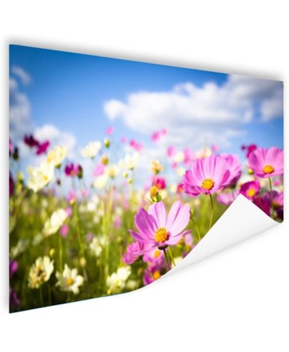FotoCadeau.nl - Bloemen in volle bloei Poster 180x120 cm - Foto print op Poster (wanddecoratie)