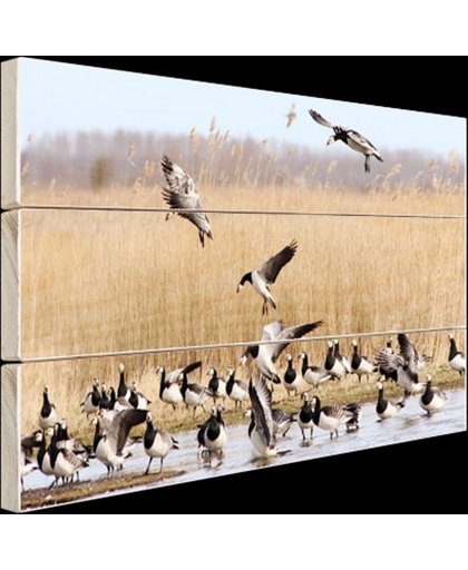 FotoCadeau.nl - Groep ganzen in het water Hout 30x20 cm - Foto print op Hout (Wanddecoratie)