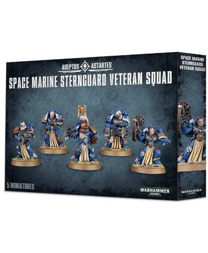 Warhammer 40,000 Imperium Adeptus Astartes Space Marines: Sternguard Veteran Squad